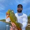 canesfan73